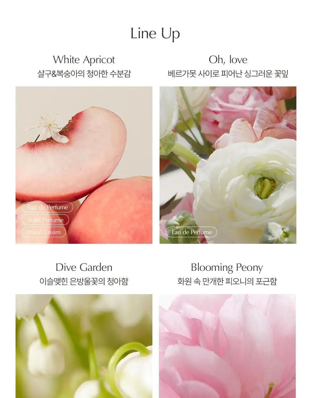 [러블리한 플로럴향] 루아페 오,러브 EDP 30ml 상세페이지 14
